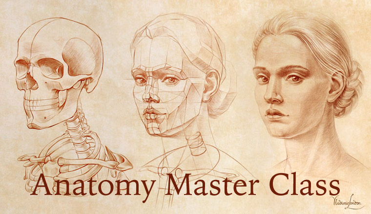 Anatomy Master Class