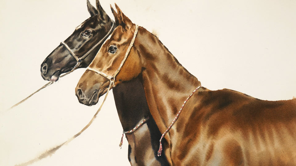 How to Paint Horses in Watercolor