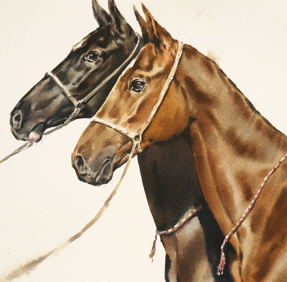 How to Paint Horses in Watercolor