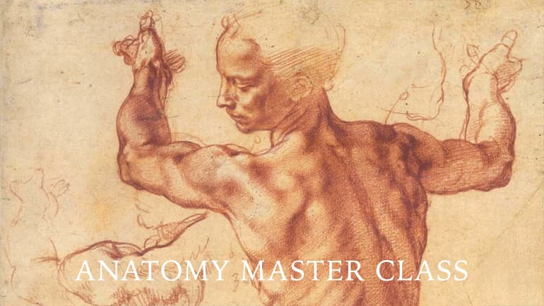 Anatomy Master Class