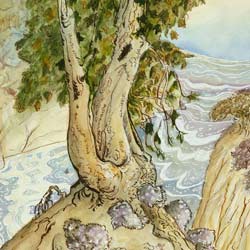Watercolor Academy Art Competition