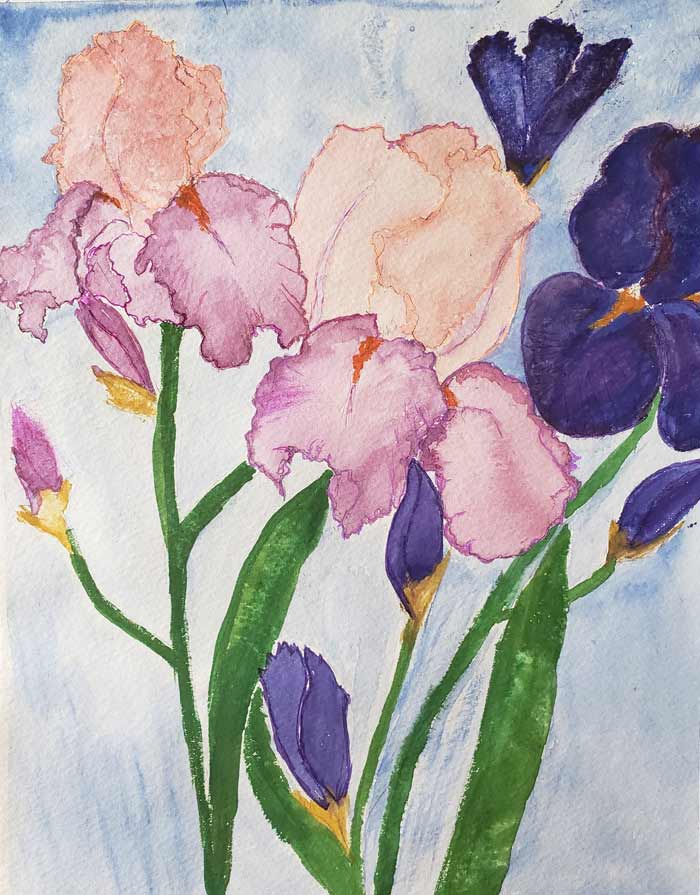 Colors by Janet - Watercolour and story by Janet Lynn