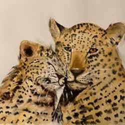 Watercolor Academy Art Competition