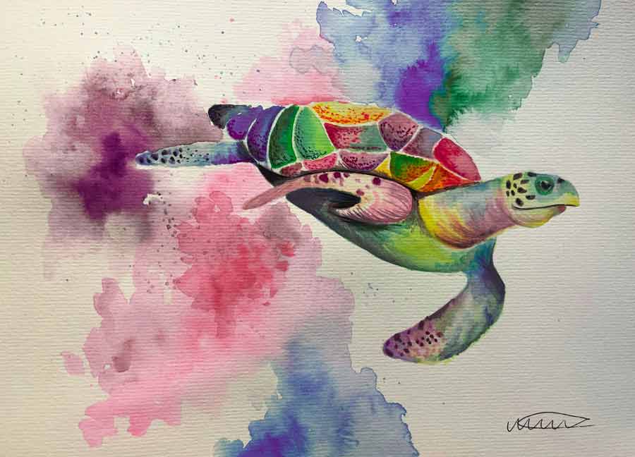 Hawksbill Turtle - Watercolour and story by Megan Harper