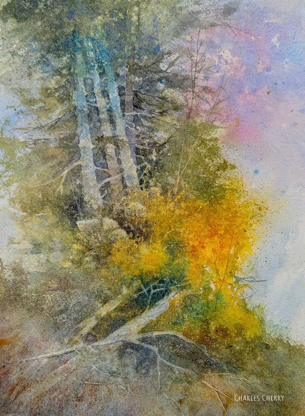 My Watercolor Story - Birch Glow by Charles Cherry