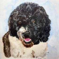 Watercolor Academy Art Competition