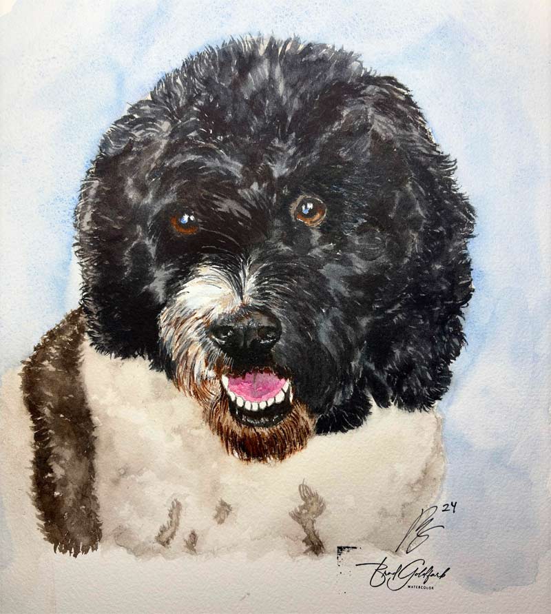 Ollie, for a friend - Watercolour and story by Brad Goldfarb