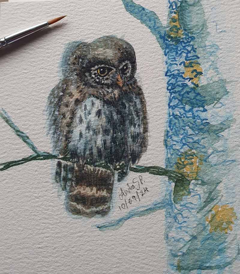 Owl on a cold night - Watercolour and story by Andra Popa