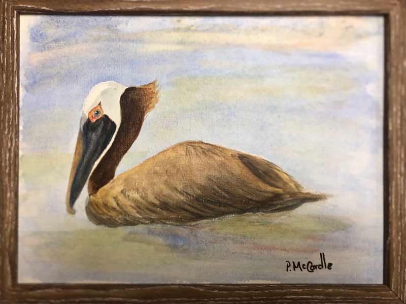 Resilient Pelican - Watercolour and story by Peggy McCardle