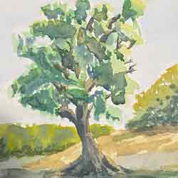 Watercolor Academy Art Competition
