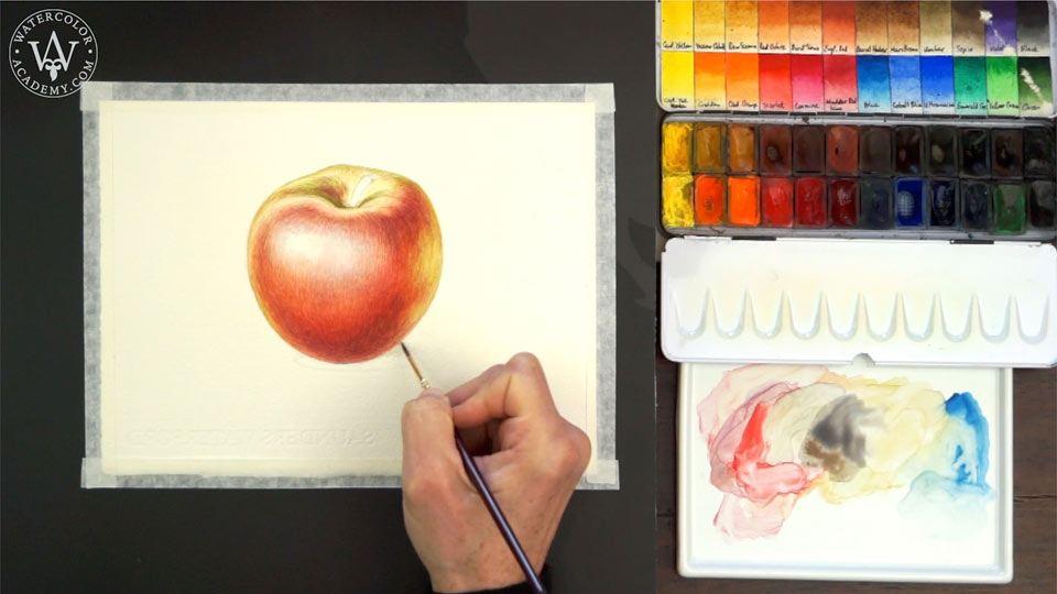 80+Watercolor Painting Tutorials & LIVE Support from Professional
