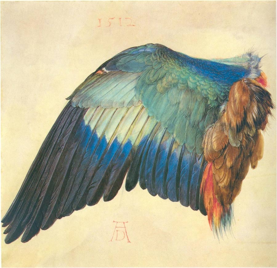 Watercolors by Albrecht Dürer - Watercolor Master