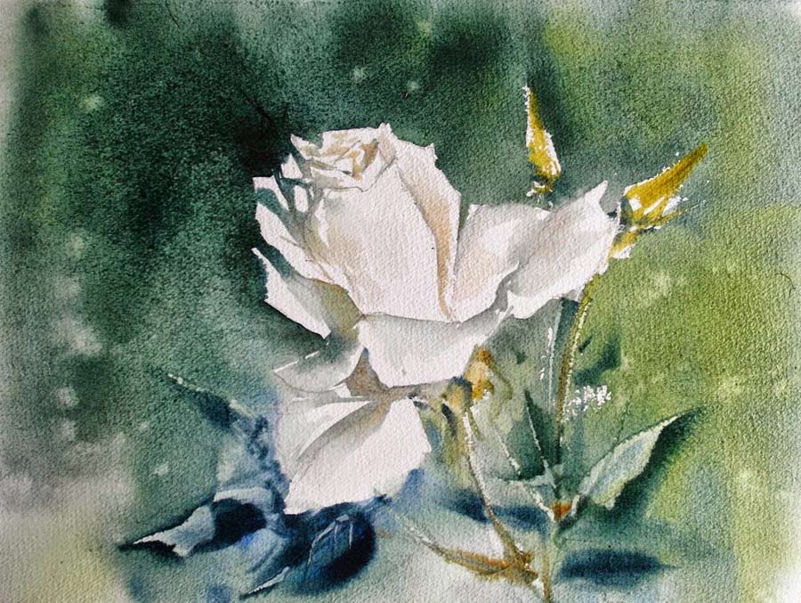 Konstantin Sterkhov - Watercolor Master